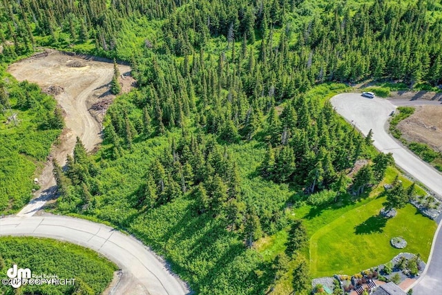 L6B4 Mountain Breeze Dr, Anchorage, AK 99516
