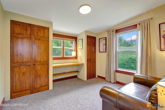 15051 Echo Canyon Rd, Anchorage, AK 99516 - photo 26