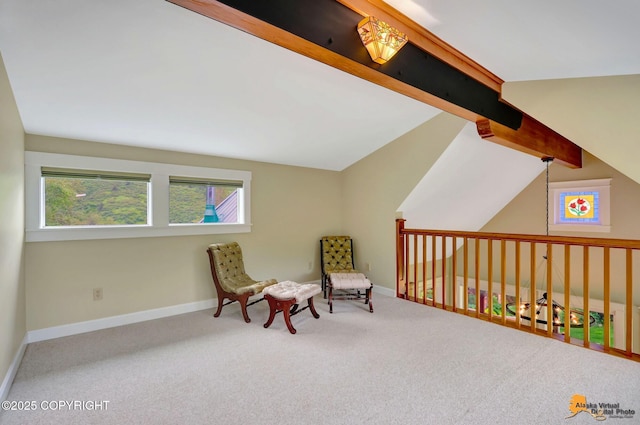 15051 Echo Canyon Rd, Anchorage, AK 99516 - photo 34