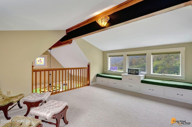 15051 Echo Canyon Rd, Anchorage, AK 99516 - photo 36