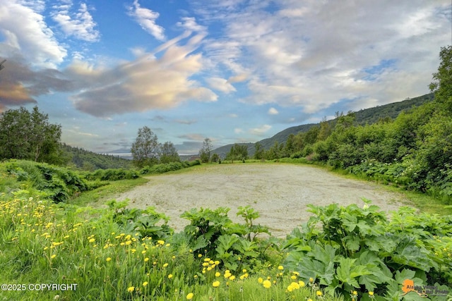 15051 Echo Canyon Rd, Anchorage, AK 99516 - photo 83