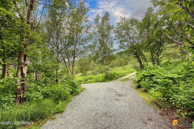 15051 Echo Canyon Rd, Anchorage, AK 99516 - photo 86