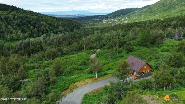 15051 Echo Canyon Rd, Anchorage, AK 99516 - photo 49