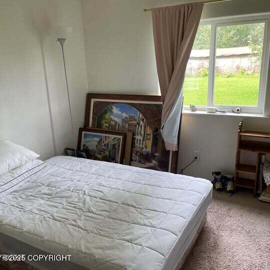 4302 N Jana Dr, Palmer, AK 99645 - photo 6