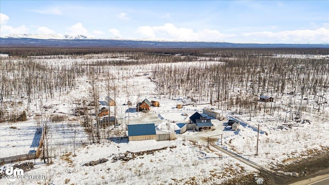 snowy aerial view featuring a mountain view