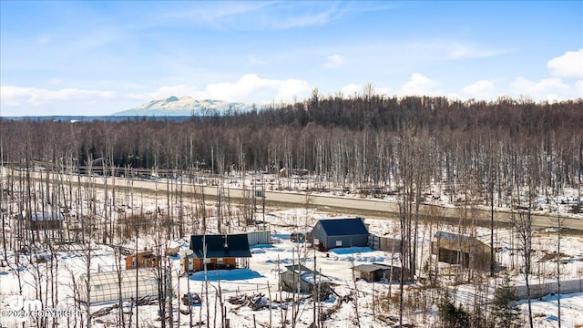 snowy aerial view featuring a mountain view
