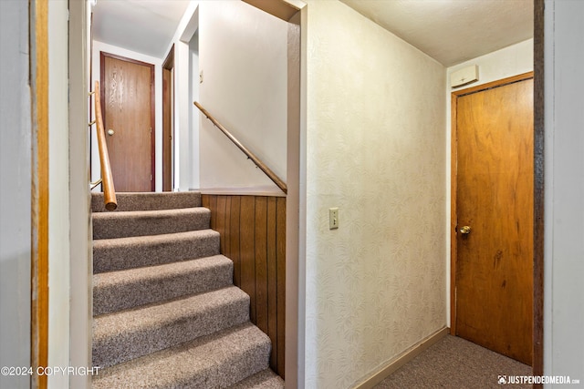 stairs with carpet flooring