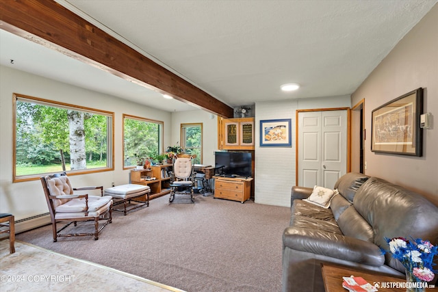 carpeted living room with beam ceiling
