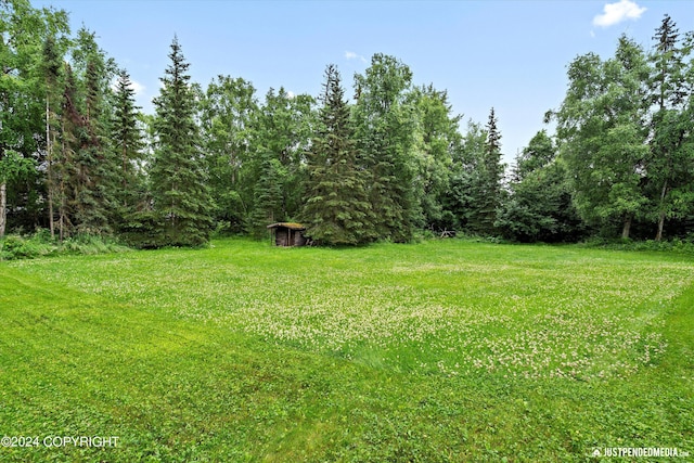 view of yard with a forest view