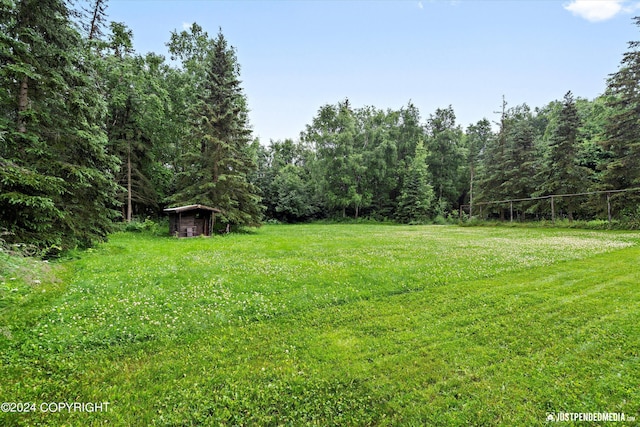 view of yard with a wooded view