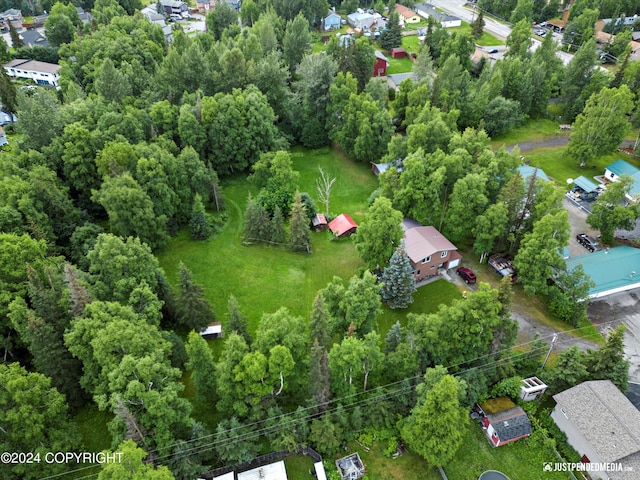 bird's eye view