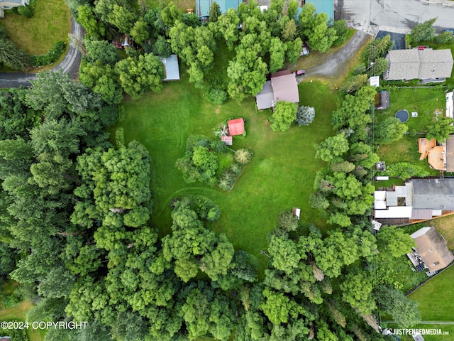 drone / aerial view