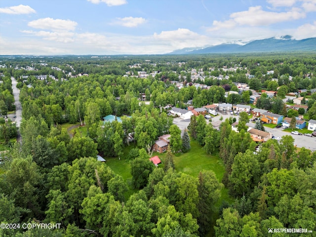 aerial view with a view of trees and a mountain view