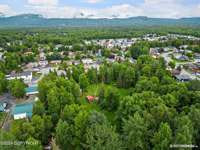 drone / aerial view with a residential view, a mountain view, and a wooded view