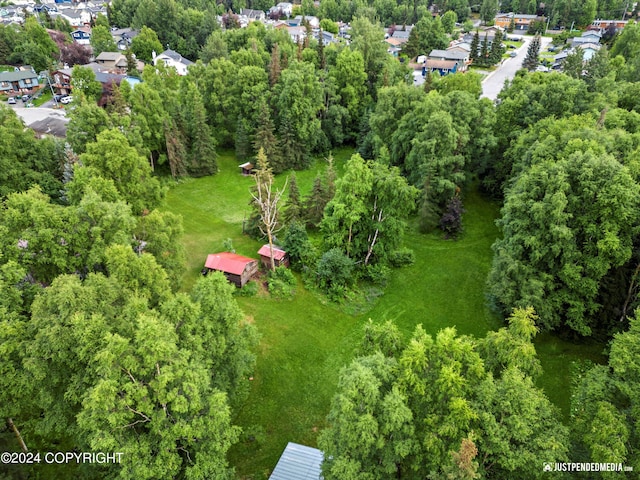 bird's eye view