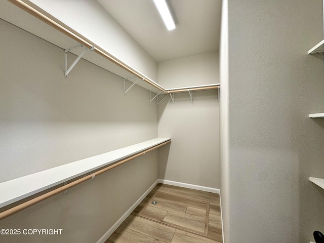 698 Wortham Ave, Kenai, AK 99611 - walk in closet with light wood-type flooring
