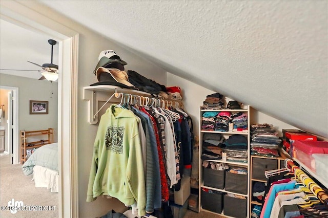 19016 Mountain Point Cir, Eagle River, AK 99577 - walk in closet with lofted ceiling, carpet flooring, and a ceiling fan