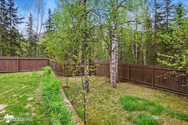 19016 Mountain Point Cir, Eagle River, AK 99577 - view of yard