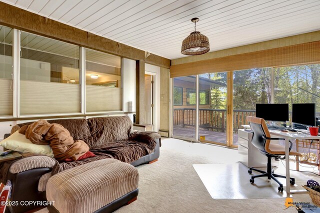 204 E 15th Ave, Anchorage, AK 99501 - sunroom with carpet floors and plenty of natural light