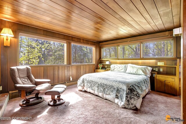 204 E 15th Ave, Anchorage, AK 99501 - bedroom with wooden walls, wood ceiling, baseboard heating, and carpet flooring