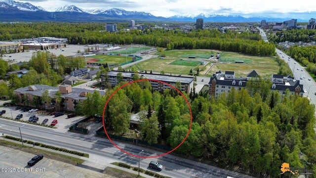 204 E 15th Ave, Anchorage, AK 99501 - aerial view of mountains