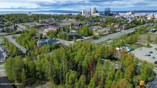 204 E 15th Ave, Anchorage, AK 99501 - aerial view of property and surrounding area featuring nearby urban area and a nearby body of water