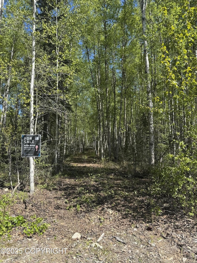 20001 E Goshawk Way, Willow, AK 99688