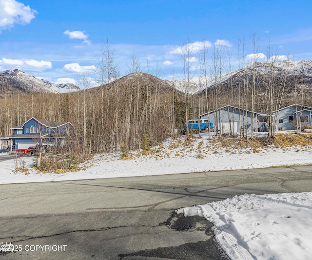 25656 Bendilent Cir, Eagle River, AK 99577 - view of mountain feature
