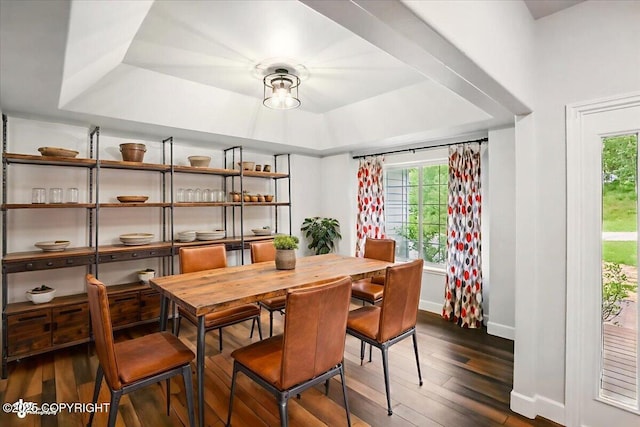 25656 Bendilent Cir, Eagle River, AK 99577 - dining space featuring a raised ceiling, baseboards, healthy amount of natural light, and dark wood-style flooring