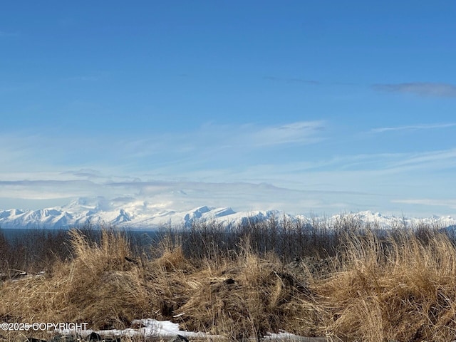 12656 D Meadow Dr, Ninilchik, AK 99639 - mountain view