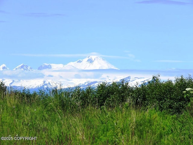 12656 D Meadow Dr, Ninilchik, AK 99639 - photo 18
