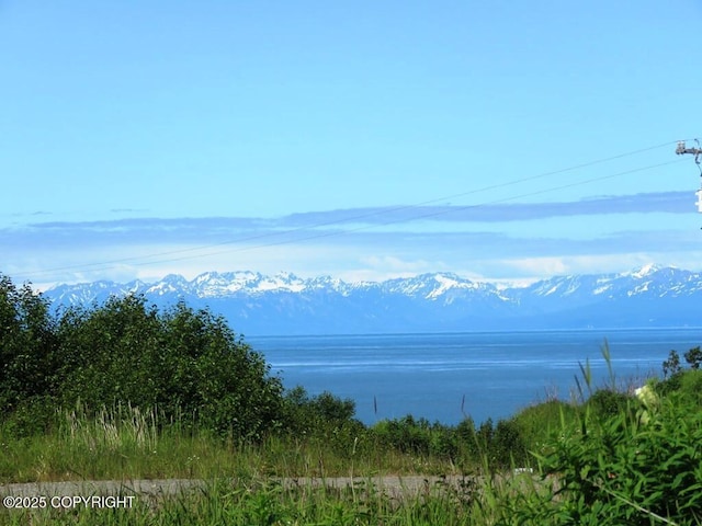 12656 D Meadow Dr, Ninilchik, AK 99639 - photo 16