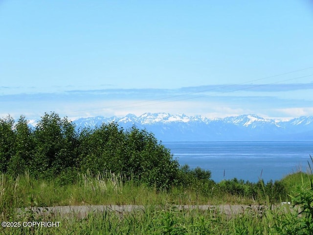 12656 D Meadow Dr, Ninilchik, AK 99639 - photo 23