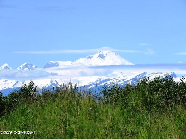12656 D Meadow Dr, Ninilchik, AK 99639 - photo 25