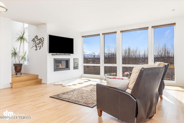 1382 Northbluff Dr # 4B, Anchorage, AK 99501 - living area featuring a glass covered fireplace, wood finished floors, and baseboards