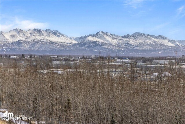 1382 Northbluff Dr # 4B, Anchorage, AK 99501 - view of mountain feature