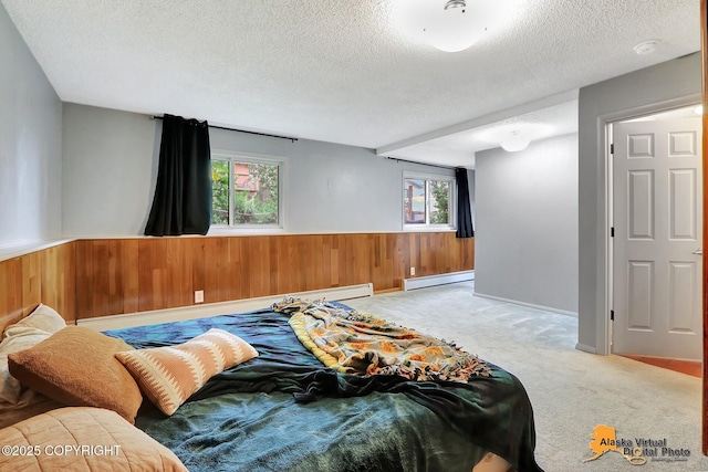8400 E 11th Ct, Anchorage, AK 99504 - living area featuring a baseboard heating unit, wood walls, plenty of natural light, a textured ceiling, and light carpet