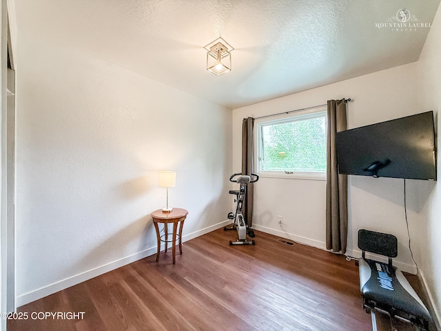 6934 Inlet Vista Dr, Wasilla, AK 99623 - exercise area featuring wood finished floors and a textured ceiling