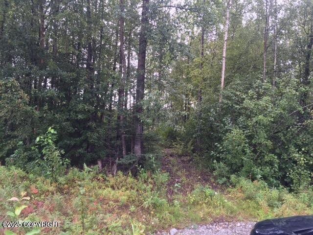 13601 S Knik-Goose Bay Rd, Wasilla, AK 99654 - photo 2