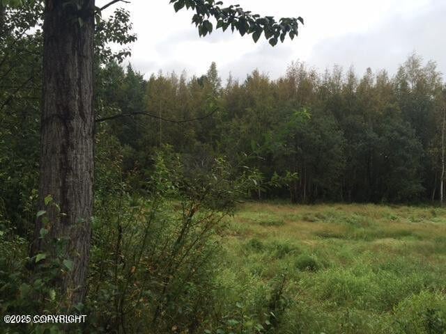 13601 S Knik-Goose Bay Rd, Wasilla, AK 99654 - photo 3