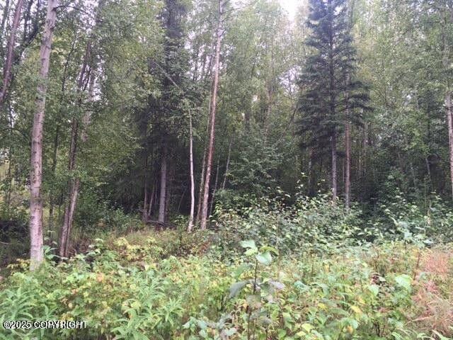 13601 S Knik-Goose Bay Rd, Wasilla, AK 99654 - photo 4