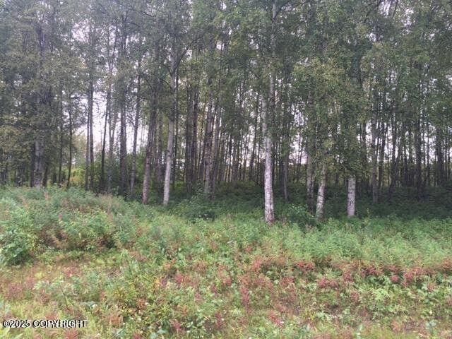 13601 S Knik-Goose Bay Rd, Wasilla, AK 99654 - photo 5
