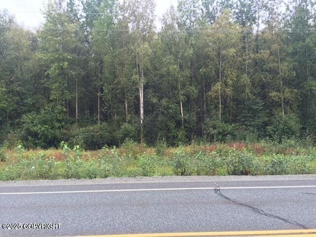 13601 S Knik-Goose Bay Rd, Wasilla, AK 99654 - photo 6