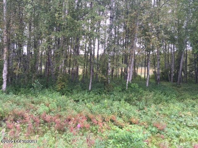 13601 S Knik-Goose Bay Rd, Wasilla, AK 99654 - photo 7
