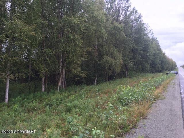 13601 S Knik-Goose Bay Rd, Wasilla, AK 99654 - photo 10
