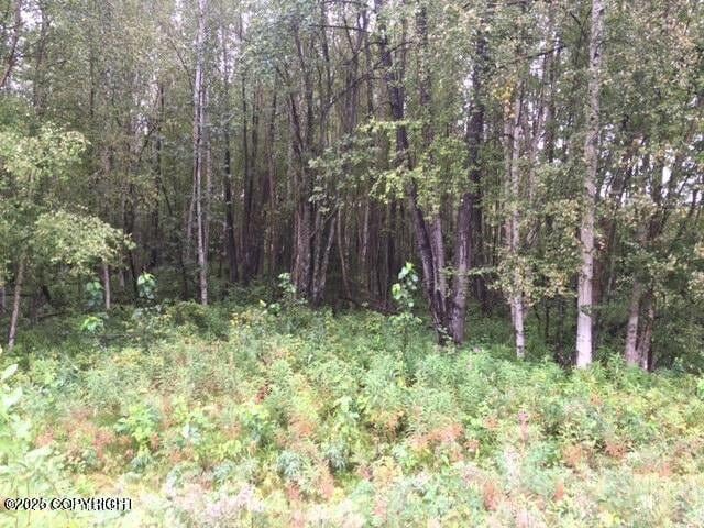 13601 S Knik-Goose Bay Rd, Wasilla, AK 99654 - photo 11