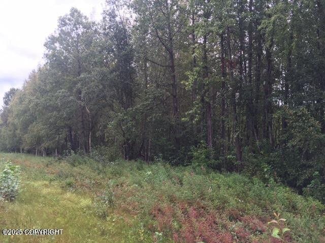 13601 S Knik-Goose Bay Rd, Wasilla, AK 99654 - photo 12