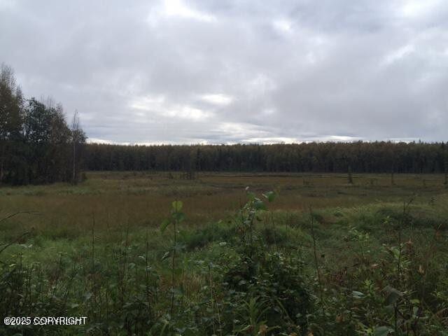 13601 S Knik-Goose Bay Rd, Wasilla, AK 99654 - photo 13