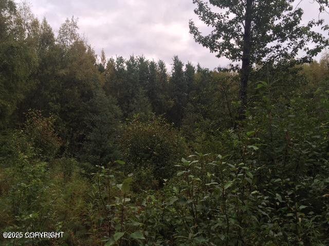 13601 S Knik-Goose Bay Rd, Wasilla, AK 99654 - photo 14