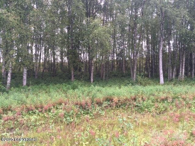 13601 S Knik-Goose Bay Rd, Wasilla, AK 99654 - photo 15